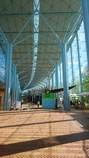 ���U�w�K�{�݁E���̉w �K�����A���߂��� (���s�{�T���s)